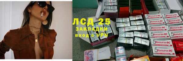 мет Алексин