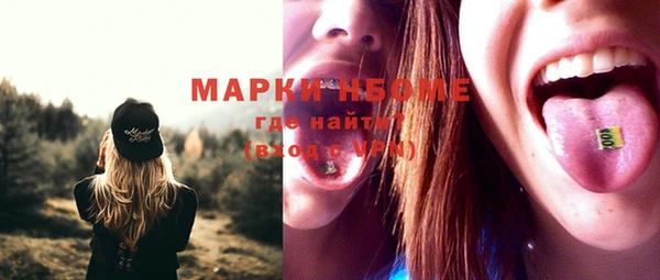 мет Алексин