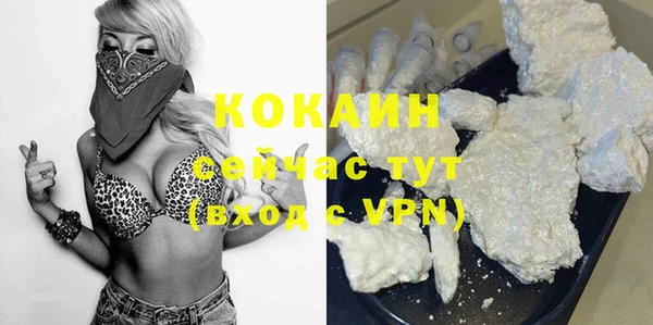 молекула духа Протвино